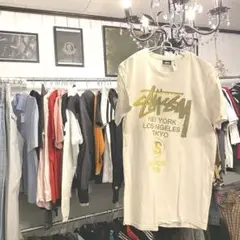 Item thumbnail for item 2a4c0996-d21b-457a-82b0-679866337ca0