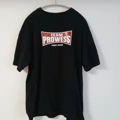 PROWESS SPORT 格闘技用Tシャツ Lサイズ