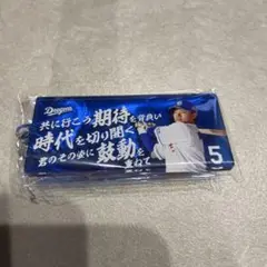 中日ドラゴンズ　応援歌キーホルダー　村松開人