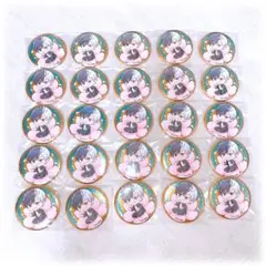 WIND BREAKER ウィンブレ ぷちふれ 缶バッジ 桜遥 25点セット