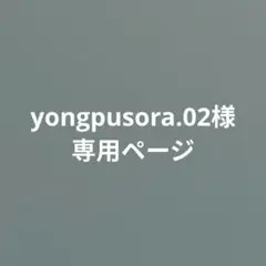 専用ページ