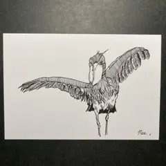 ボールペン画　ハシビロコウ
