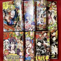 8冊 HUNTER×HUNTER 掲載 週刊少年ジャンプ 2024 47号 2号