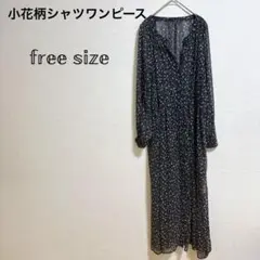 Item thumbnail for item fd4577df-3103-4d0d-82af-b2e9349302f8