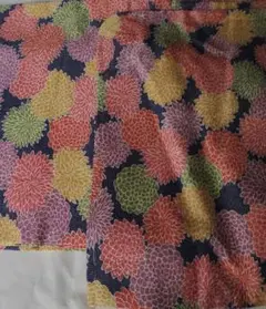 èš³ãããçç©äžçããªã¡ã€ã¯çš
