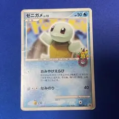 ゼニガメ　プロモ