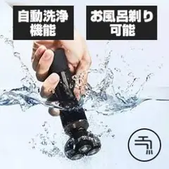 Item thumbnail for item 2fd132ff-06c2-4f92-a176-5916eb546425