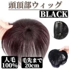頭頂部ウィッグ 黒 ブラック 20cm 人毛100% ヘアピース 部分 ウィッグ