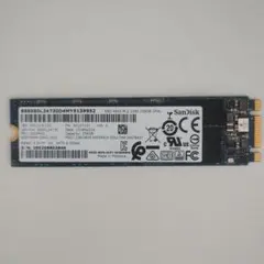 SanDisk SD9TN8W-256G M.2 SSD 256GB No.7