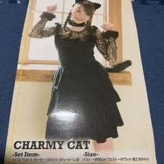 レディース コスプレ 猫耳コスプレ 黒猫コスプレ 美品