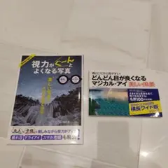 どんどん目が良くなるマジカル・アイ美しい風景 セット