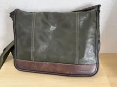 Item thumbnail for item b2c3a734-e79c-4da1-912b-83474b4a1797