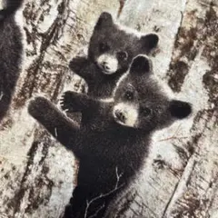 木登りクマちゃん♡ USAコットン生地