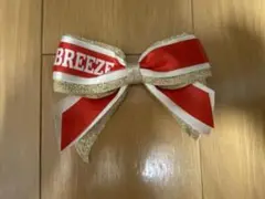 BREEZE チアリーディングリボンセット