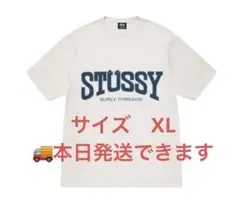 Stussy Burly Threads Tee Pigment Dyed