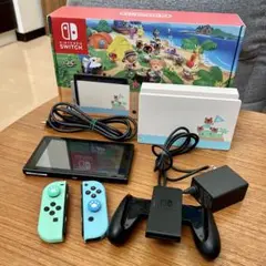 Nintendo Switch あつまれ どうぶつの森セット（DL版ソフトなし）