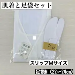 Item thumbnail for item e6f8d4d3-c93d-4046-88d4-d776efa364e4