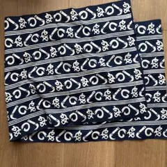 Item thumbnail for item 36b63687-8d39-4813-b49d-b7c472a4a109