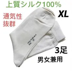 Item thumbnail for item 545140a4-4ae3-4c64-abff-446153ceb638