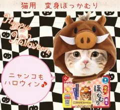 Item thumbnail for item 374a4945-6574-4371-95b3-6e453c56dd0b