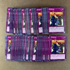 No.10249 遊戯王 群雄割拠 計100枚