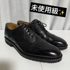 ⭐️未使用級⭐️　REGAL　ウィングチップ　Y929　ビジネスシューズ　レザー