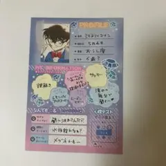 6 江戸川コナン プロフィールカード ちゃお 付録