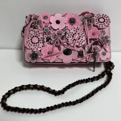 激レア COACH コーチ 2way 3way ディンキー ティーローズ バッグ COACH コーチ 2wayバッグ ティーローズ レザー ショルダー