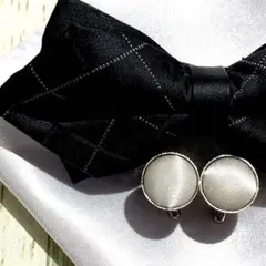 Item thumbnail for item 66f51420-6e0e-41fb-b0e2-66d732832fdf