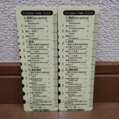 新品☆瞳孔計測表　意識レベルスケール表　2枚