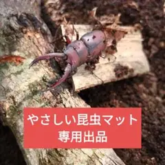 まるこ様のやさしい昆虫マット5袋