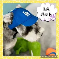 Item thumbnail for item 5a5f9810-100c-4e6e-88f3-d55030334def