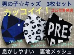 Item thumbnail for item 5c67a295-8a97-4d84-a515-3f287250e6fd