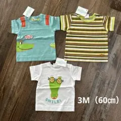 新品タグ付き！cakewalk 男の子 Tシャツ 3枚まとめ売り　60㎝