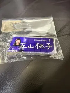サンフレッチェ 広島 レジーナ ガチャ 6 左山桃子 アクリルキーホルダー 新品