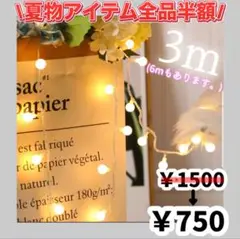 【新品未使用】夏物セール中 LED 3m 電飾 キャンプ アウトドア