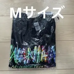 WANIMA ロゴ Tシャツ 新品未開封
