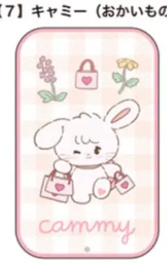 mikko すらいどきゃん キャミー（おかいもの）