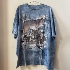 3DTEES オオカミ タイダイ グラフィックTシャツ 古着 USAプリント