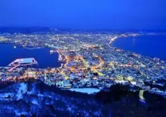 M54 函館山の夜景/北海道/日本の風景/アートパネル