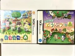 どうぶつの森セット✨