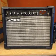 2025年最新】guyatone chorusの人気アイテム - メルカリ