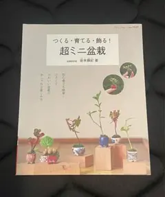 つくる・育てる・飾る!超ミニ盆栽