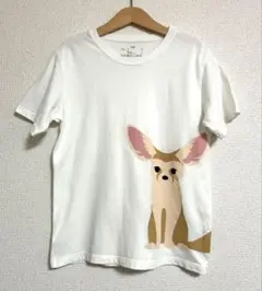 美品　無印良品　絶滅危惧種プリント Tシャツ　フェネック　140cm