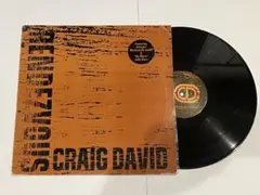 Craig David 12インチ Boom使い