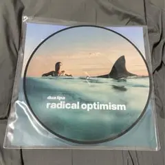 DUA LIPA radical optimism レコード　LP ピクチャー盤