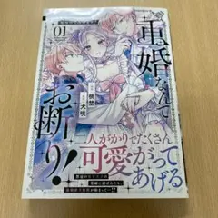 【8月新刊】重婚なんてお断り! 絶対に双子の王子を見分けてみせます!