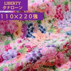 Item thumbnail for item 2461520c-af84-449c-b6cf-f3acf97db300