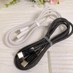 【1m × 2本セット】 Type C to Type C ケーブル 急速充電