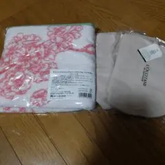 Item thumbnail for item 0d48a9af-aebf-4282-bc7d-14b934c9b07b